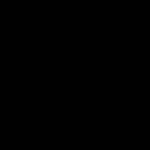 Meet your Posher, Dee